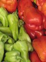Mixed peppers.jpg