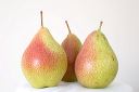 three_pears.jpg